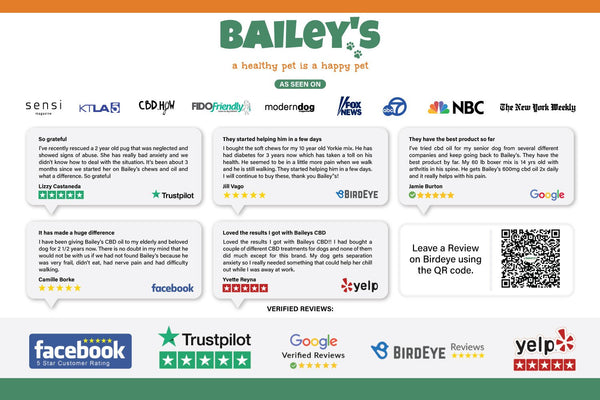 Bailey's CBD Oil For Pets Membership | Get 20% OFF