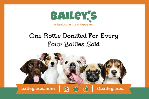 Bailey's 150MG CBD Oil For Dogs Trial Size Bottle