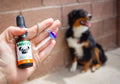 FREE 150MG CBD Oil For Dogs Trial Offer Bottle