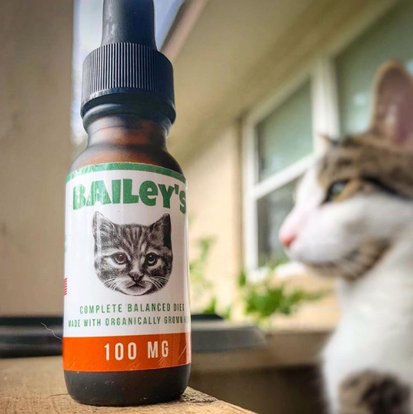 FREE 100MG CBD Oil For Cats Bottle Offer! (Just Cover S&H)