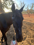 CBD Oil For Horses ; Full Spectrum Hemp Oil ; Equine Health Products