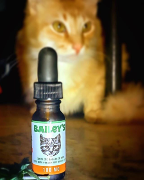 FREE 100MG CBD Oil For Cats Bottle Offer! (Just Cover S&H)