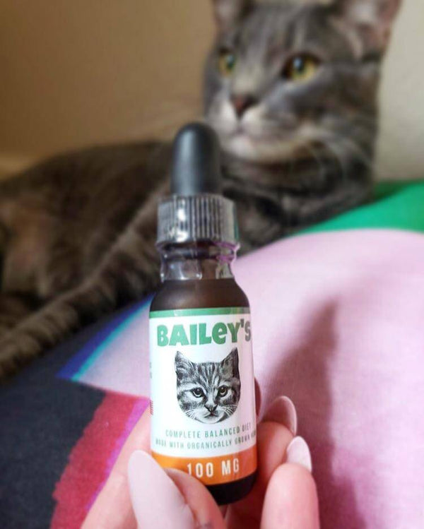 Customer image of a cute cat posed with Bailey’s CBD oil for cats bottle.