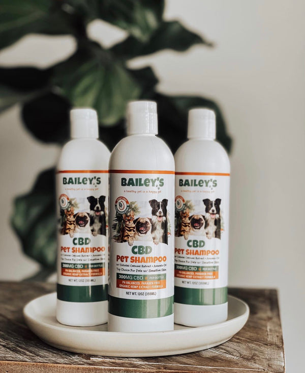 CBD Pet Shampoo with Aloe, Avocado Oil & Colloidal Oatmeal Bailey's CBD
