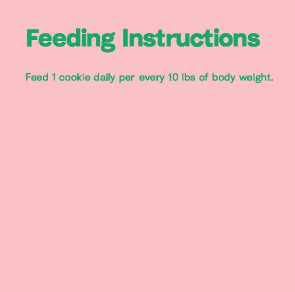 Immune Support Pumpkin Maple Noochies Dog Treats