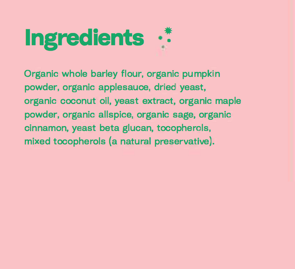 Immune Support Pumpkin Maple Noochies Dog Treats